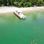 Find Out The Best Time To Rent A Boat In Miami