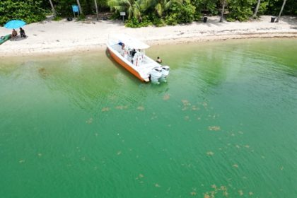 Find Out The Best Time To Rent A Boat In Miami