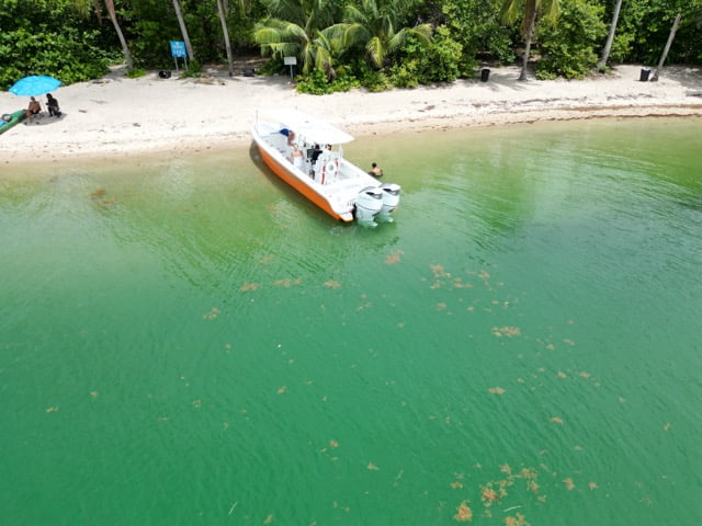 Find Out The Best Time To Rent A Boat In Miami