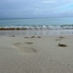 Footprints In The Sand On A Beach Near The Ocean