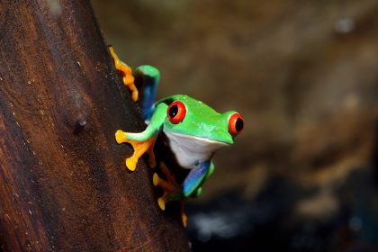 Beyond The Boardwalk: Hidden Gems And Local Favorites In Miami Beach 4 Beyond The Boardwalk: Hidden Gems And Local Favorites In Miami Beach 3 Miami Islands