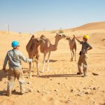 From Jet Skis To Paddleboards: Top Water Activities In Miami Beach 72 From Jet Skis To Paddleboards: Top Water Activities In Miami Beach 71 Boat Rentals Miami Beach