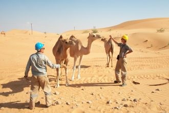 From Jet Skis To Paddleboards: Top Water Activities In Miami Beach 7 From Jet Skis To Paddleboards: Top Water Activities In Miami Beach 6 Boat Rentals Miami Beach