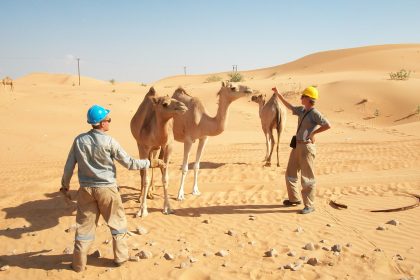 From Jet Skis To Paddleboards: Top Water Activities In Miami Beach 6 From Jet Skis To Paddleboards: Top Water Activities In Miami Beach 5 Boat Rentals Miami Beach