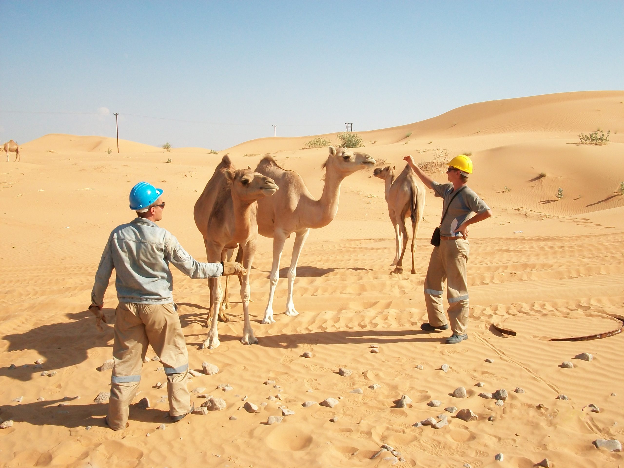 From Jet Skis To Paddleboards: Top Water Activities In Miami Beach 6 From Jet Skis To Paddleboards: Top Water Activities In Miami Beach 5 Boat Rentals Miami Beach