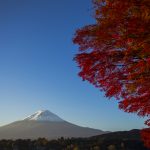 A Foodie'S Guide To Miami Beach Fl: Must-Try Eats From Cuban Cafes To Fine Dining 141 A Foodie'S Guide To Miami Beach Fl: Must-Try Eats From Cuban Cafes To Fine Dining 140 Things To Do In Miami Beach