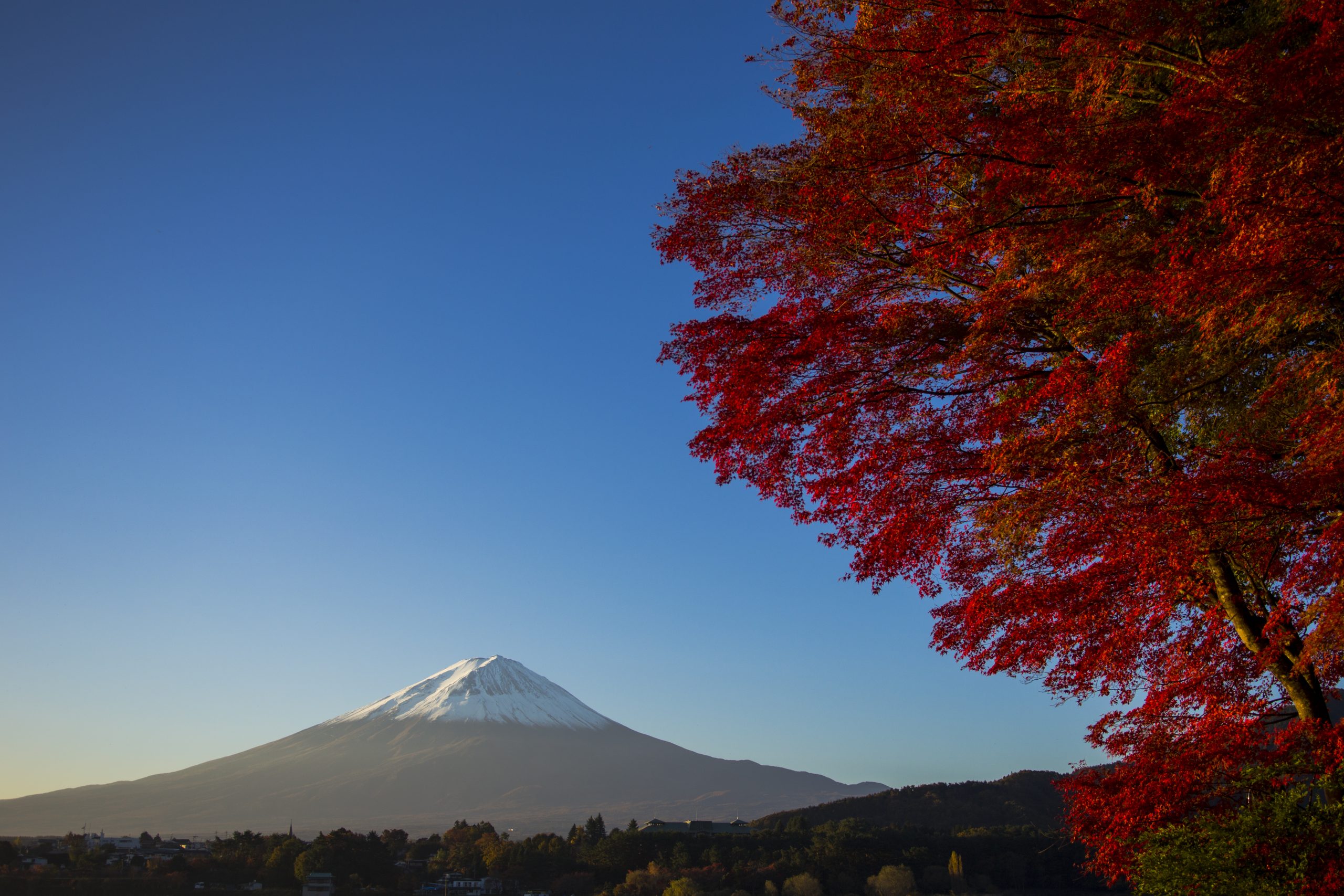 A Foodie'S Guide To Miami Beach Fl: Must-Try Eats From Cuban Cafes To Fine Dining 6 A Foodie'S Guide To Miami Beach Fl: Must-Try Eats From Cuban Cafes To Fine Dining 5 Things To Do In Miami Beach