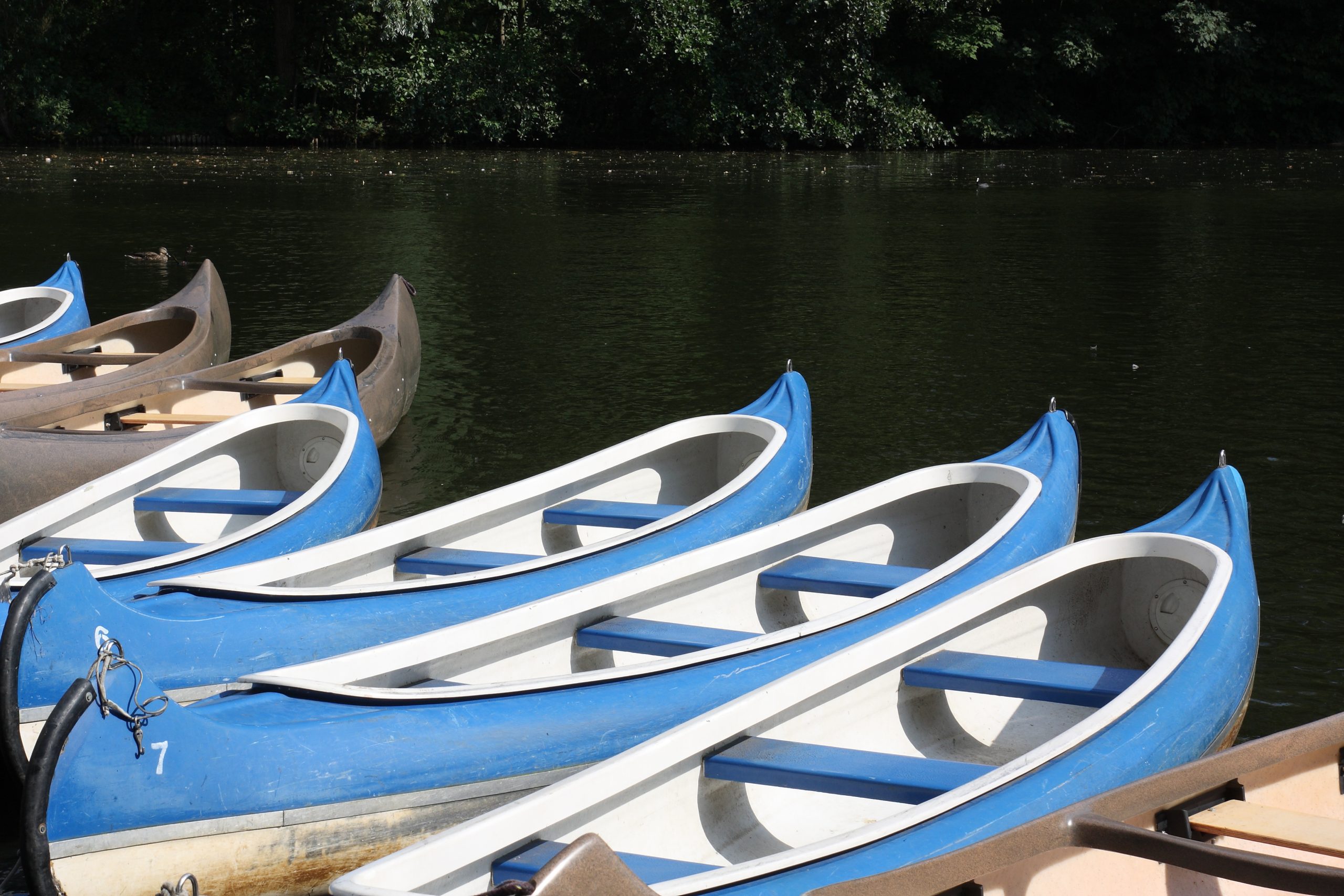 From Safety To Service: Running A Successful Boat Rental Operation 3 Things To Do In Miami Beach