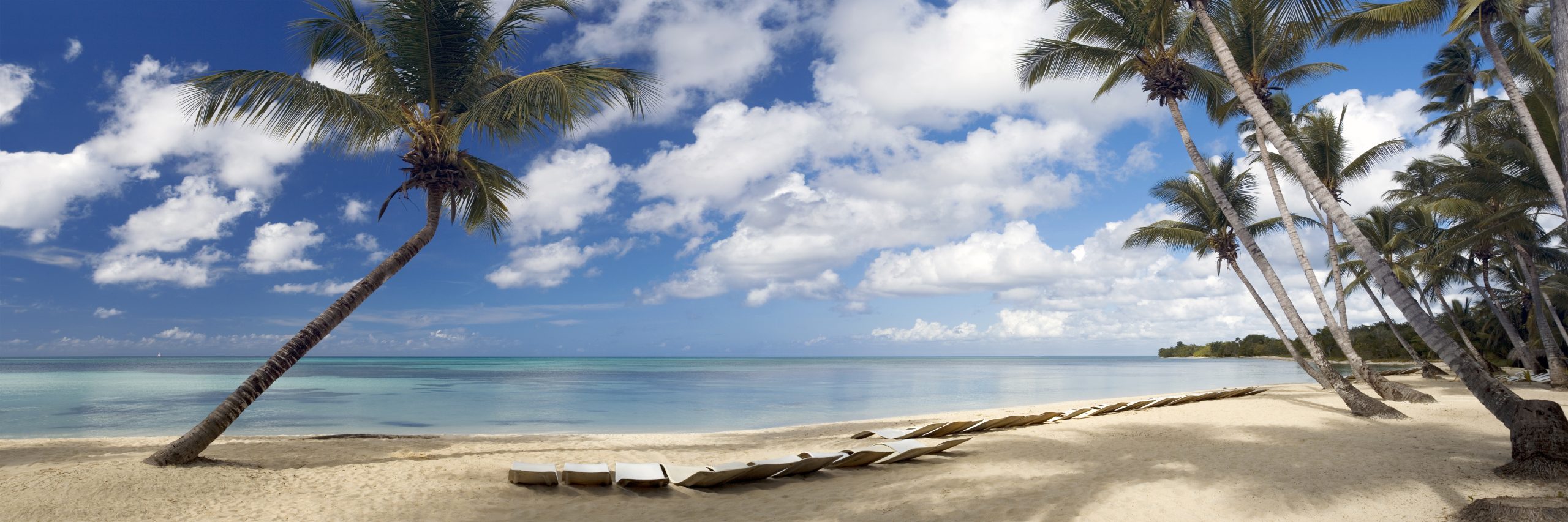 Smooth Seas, Happy Guests: Customer Service Secrets For Boat Rental Success 9 Things To Do In Miami Beach